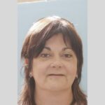 Bridge Case 6 thumbnail